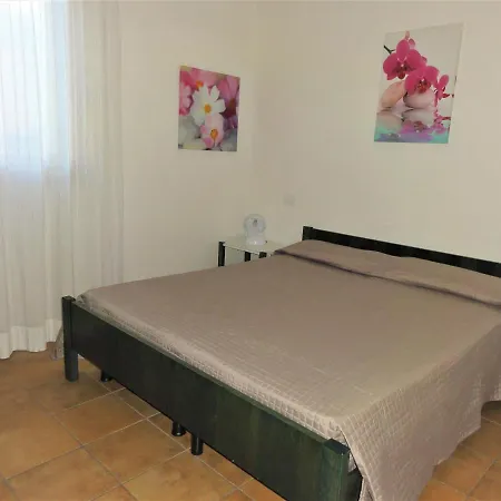 Agavi 3 *